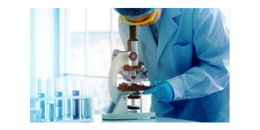 इजरायली वैज्ञानिकों की खोज : खास इम्यून सेल रोक सकती है उम्र बढ़ने की रफ्तार